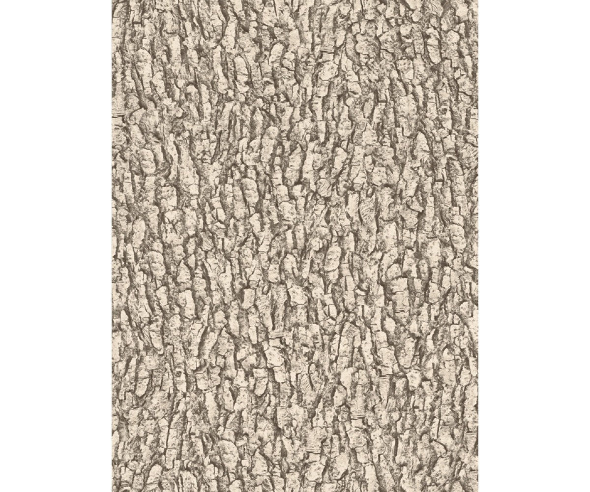 Brown Black Forest 514216 Wallpaper