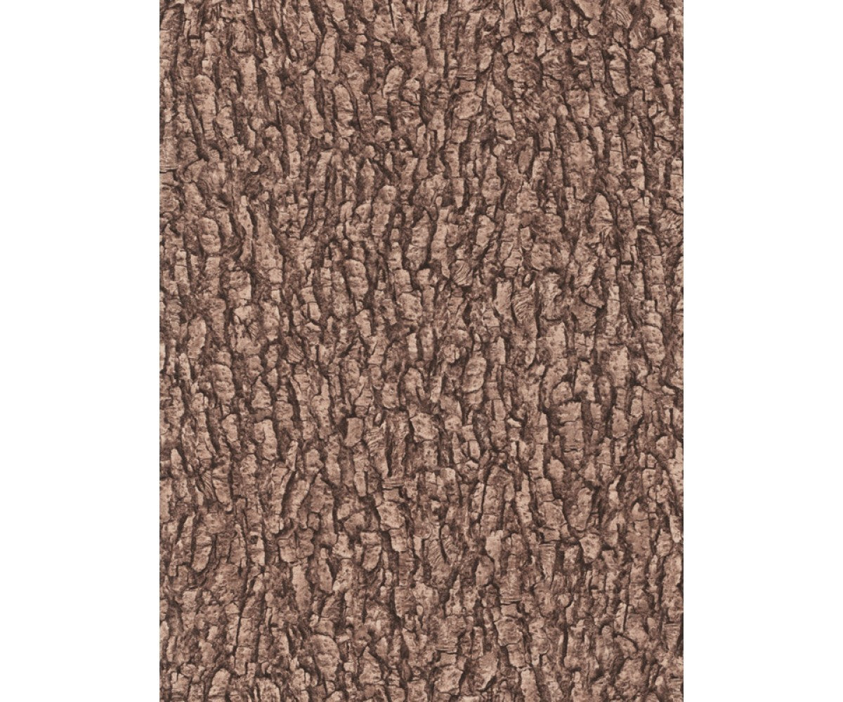 Brown Black Forest 514230 Wallpaper