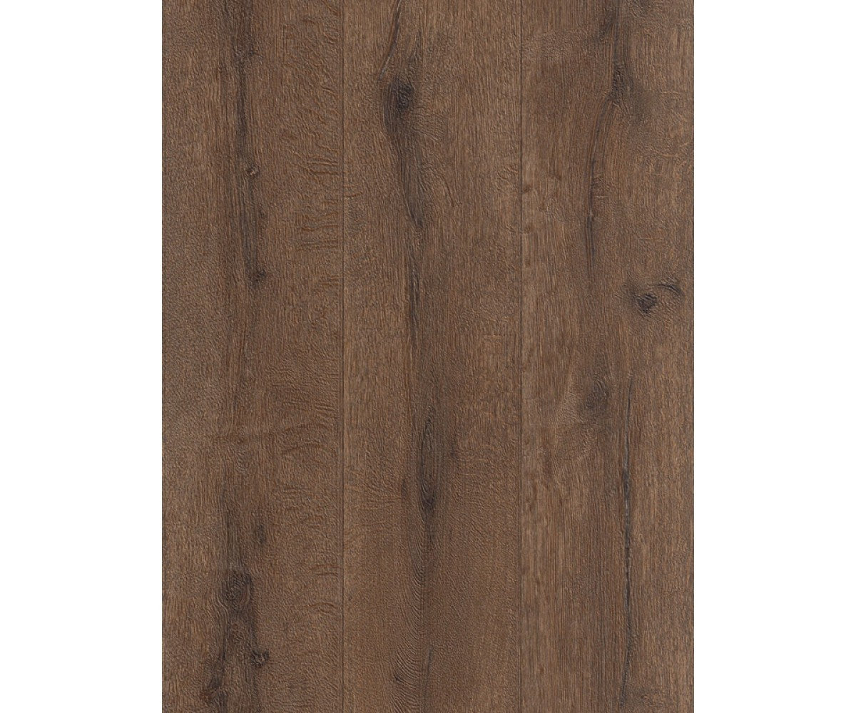 Brown Black Forest 514469 Wallpaper