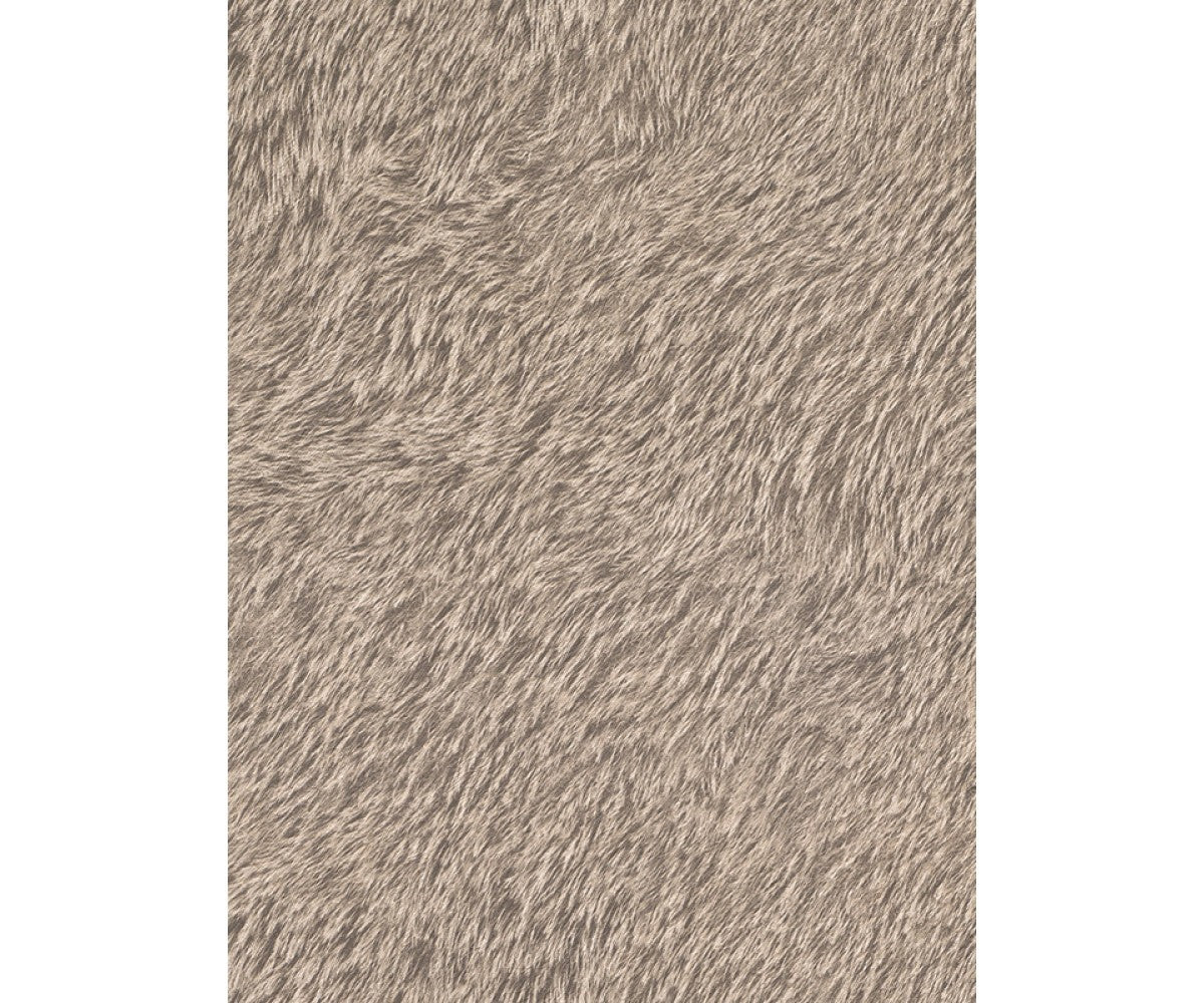 Grey Black Forest 514506 Wallpaper