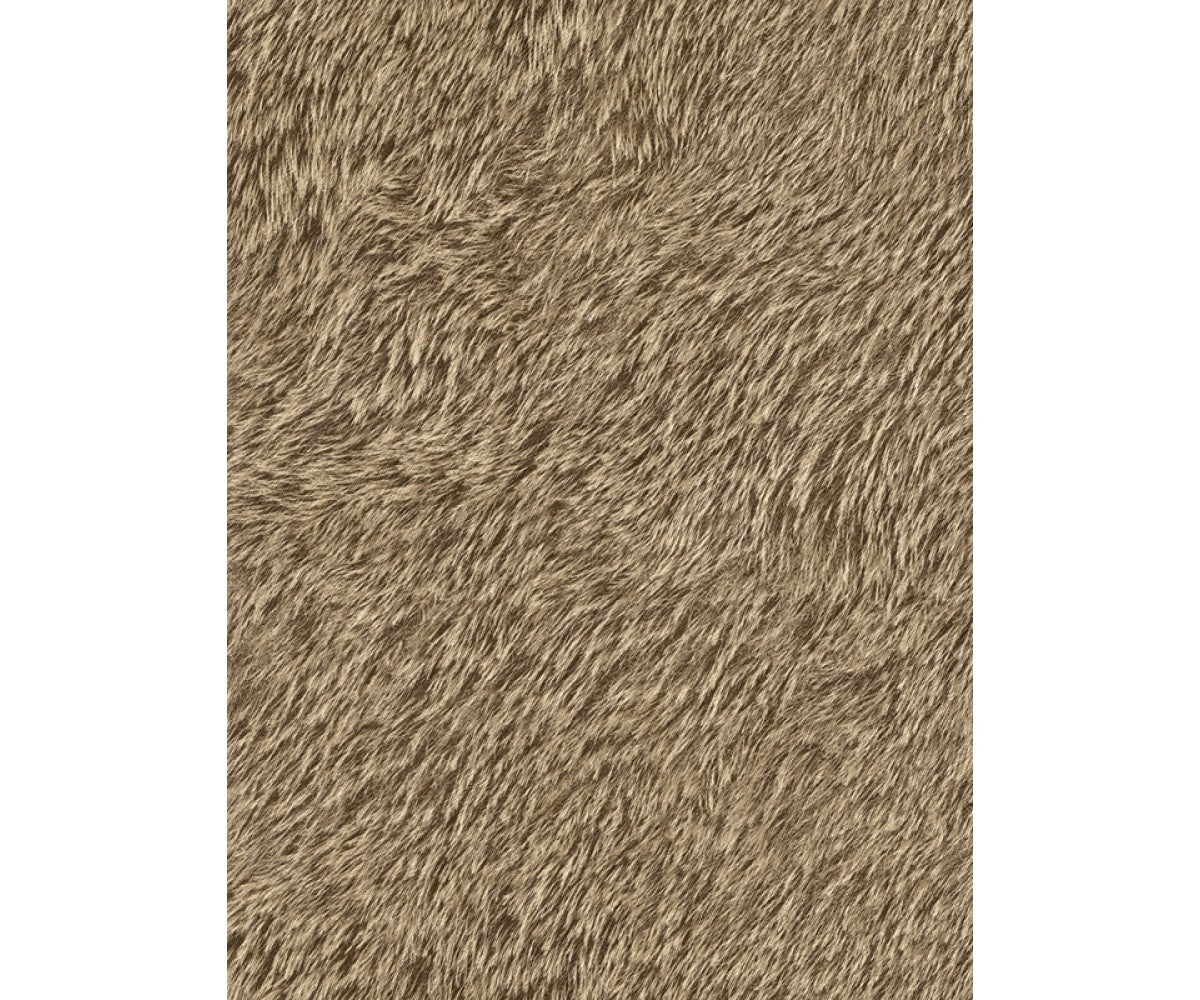 Brown Black Forest 514513 Wallpaper