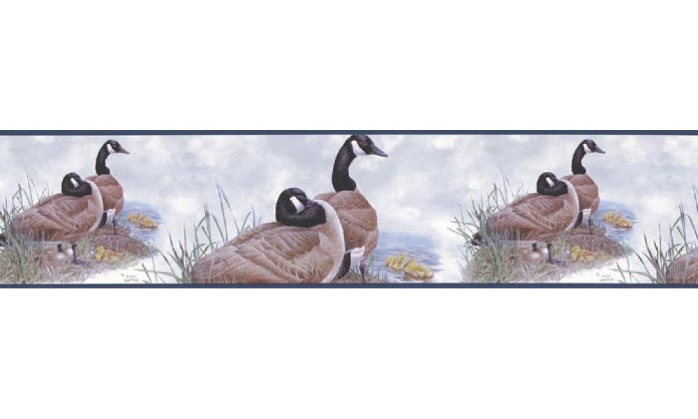 Birds B76361 Wallpaper Border