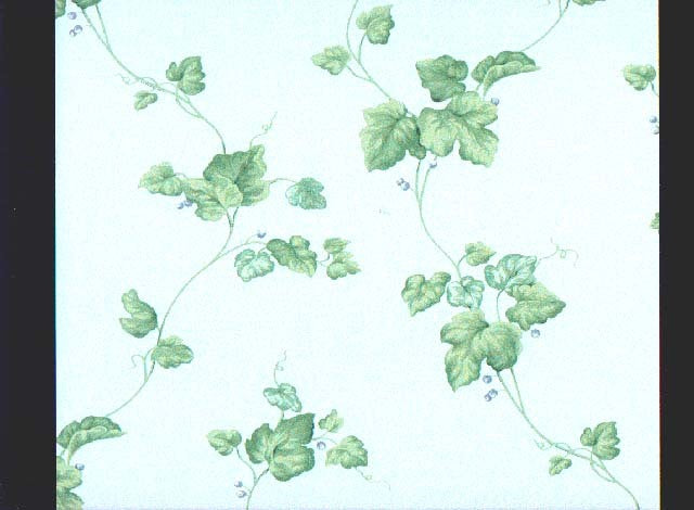 Ivy Wall 5325cl Wallpaper