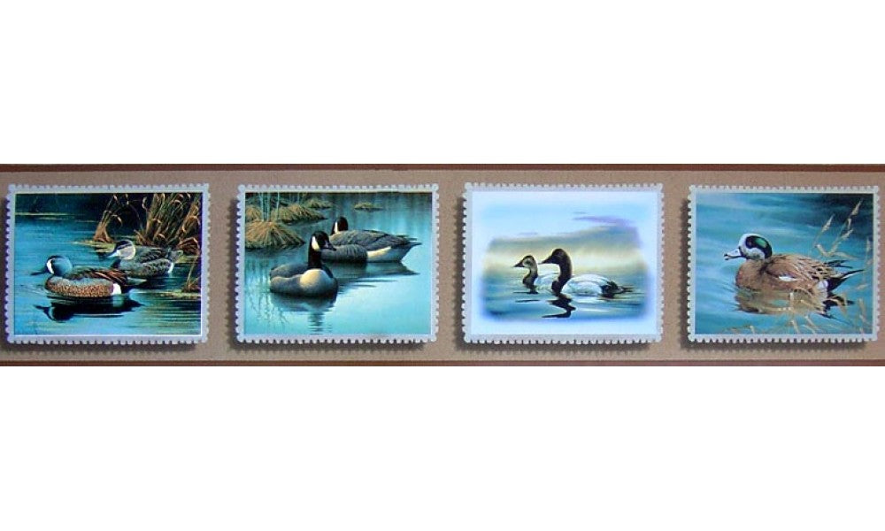 Birds B2231DU Wallpaper Border
