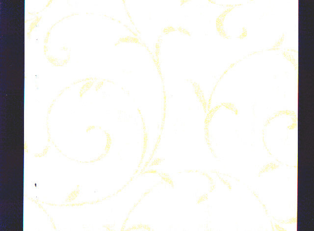 Fern Ivy 61163 Wallpaper