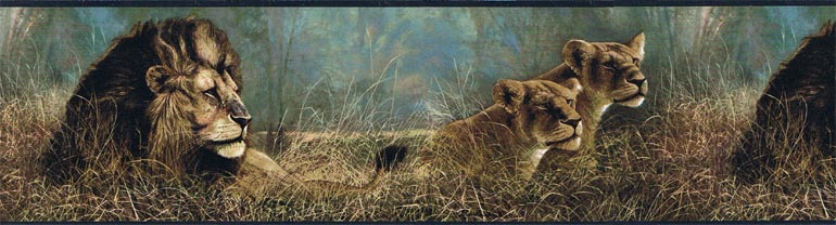 Lions  SP76462 Wallpaper Border