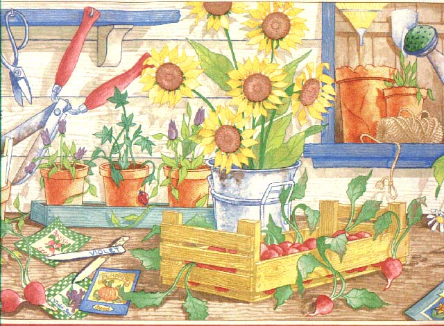 Sunflower Redish CL6101B Wallpaper Border