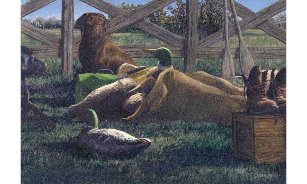 Brown Dog Duck Outdoor HB717 Wallpaper Border