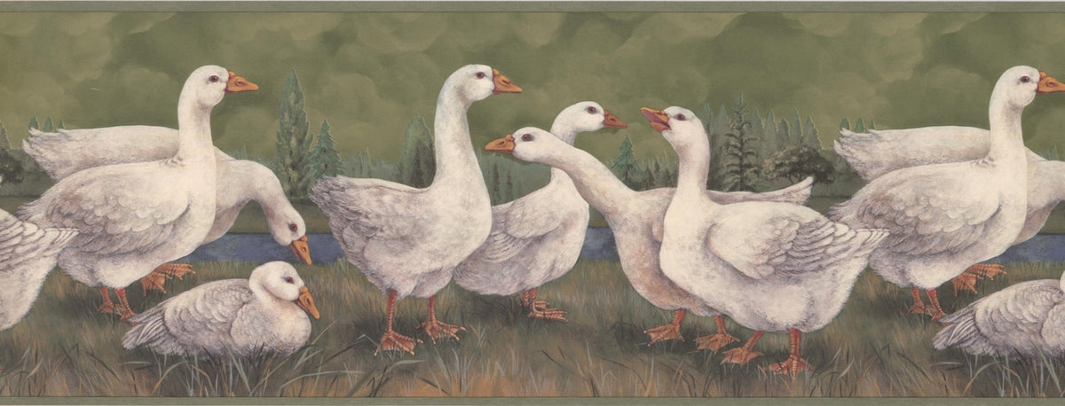 White Ducks on River Vintage Green CUP3352 Wallpaper Border