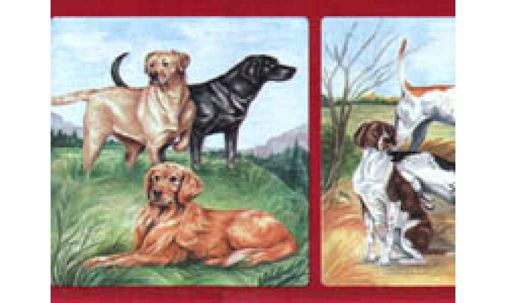 Dogs B1304P Wallpaper Border