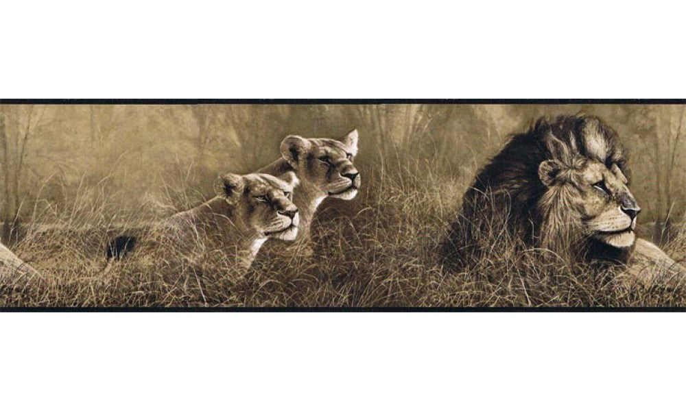 Animals B76463 Wallpaper Border