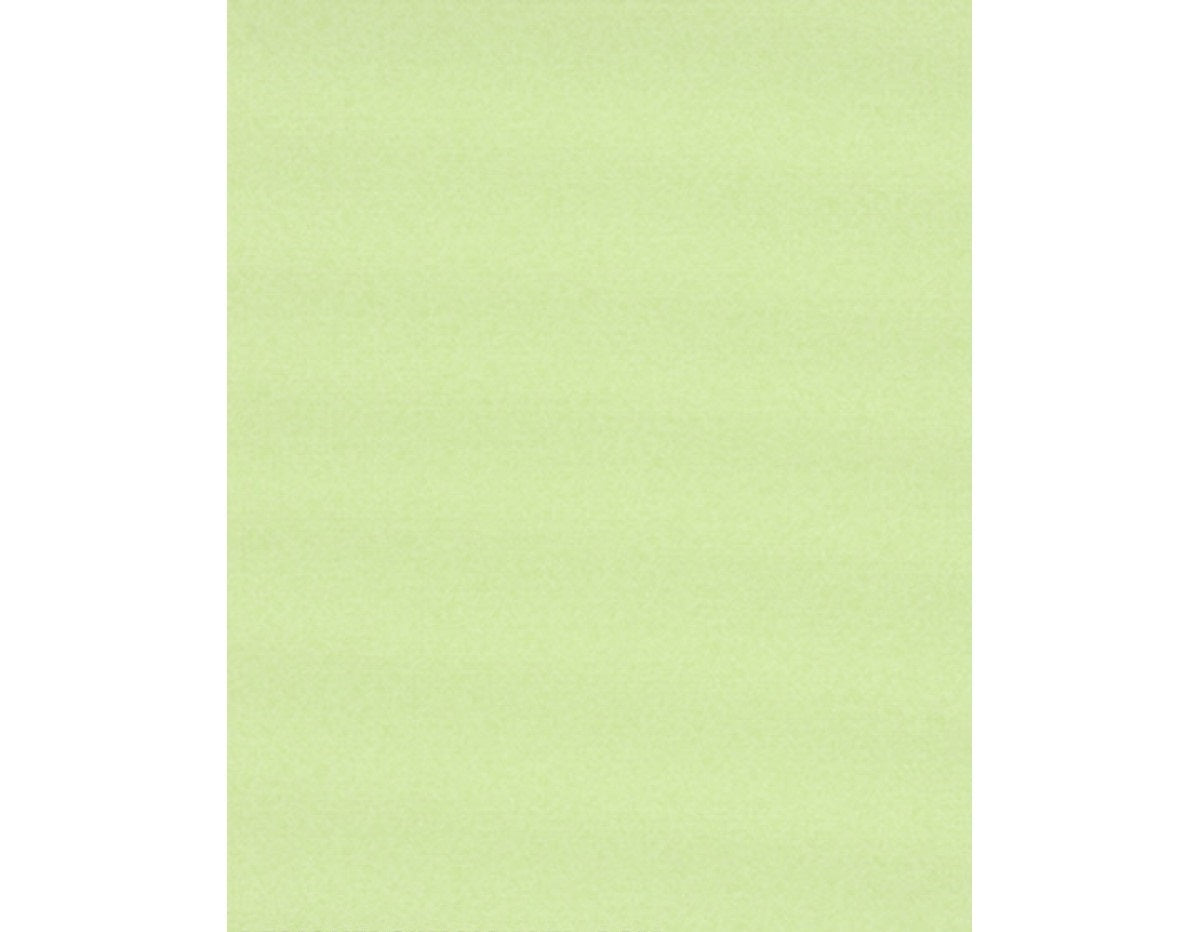 Textured Plain Green 7302-07 Wallpaper