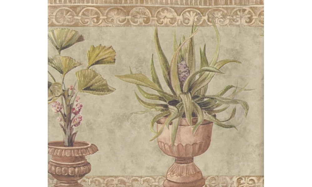 Brown Stone Green Plants TK6313 Wallpaper Border
