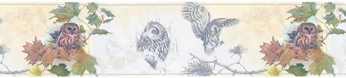 Owls  GL76352 Wallpaper Border