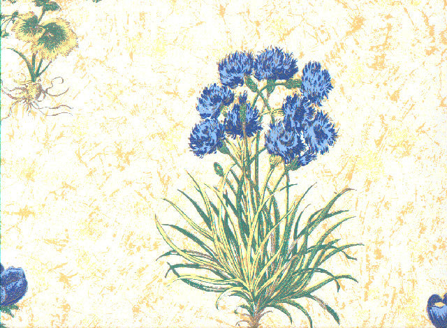 York Wall 6021d Wallpaper