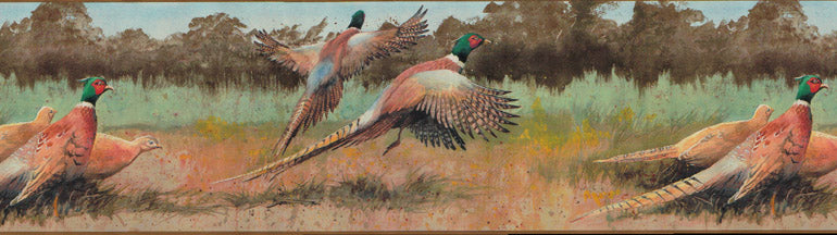 Pheasant Bog DU2132B Wallpaper Border