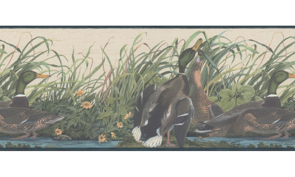 Ducks  230B33648 Wallpaper Border