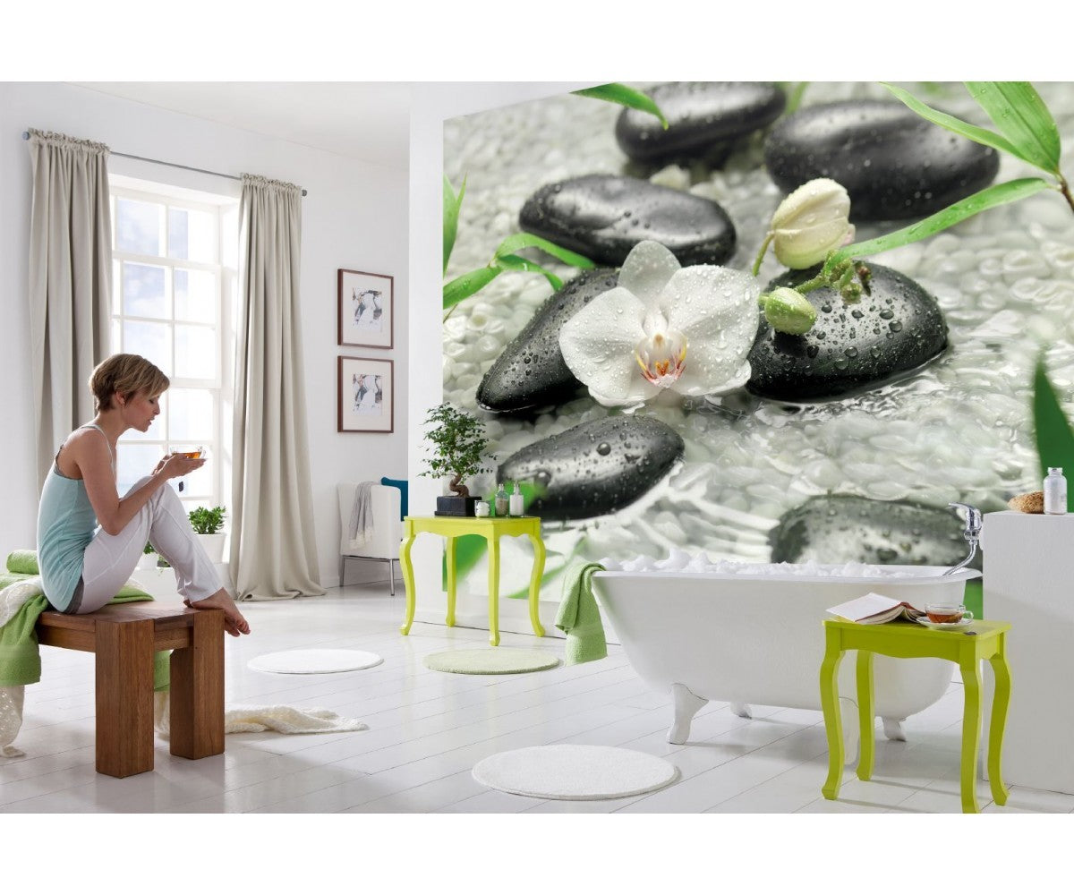 Pure Orchids 8-319 Wall Mural