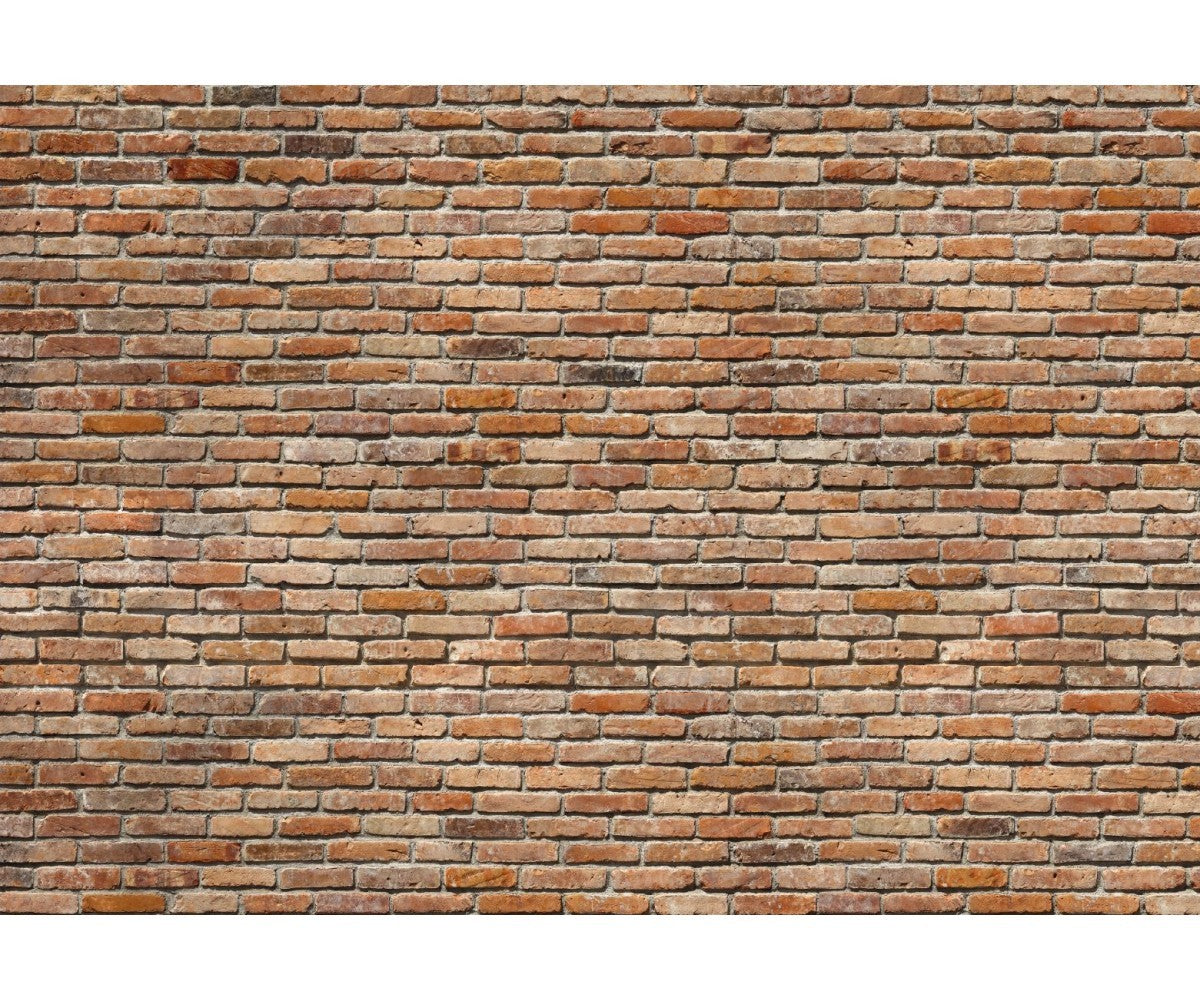 Backstein 8-741 Wall Mural