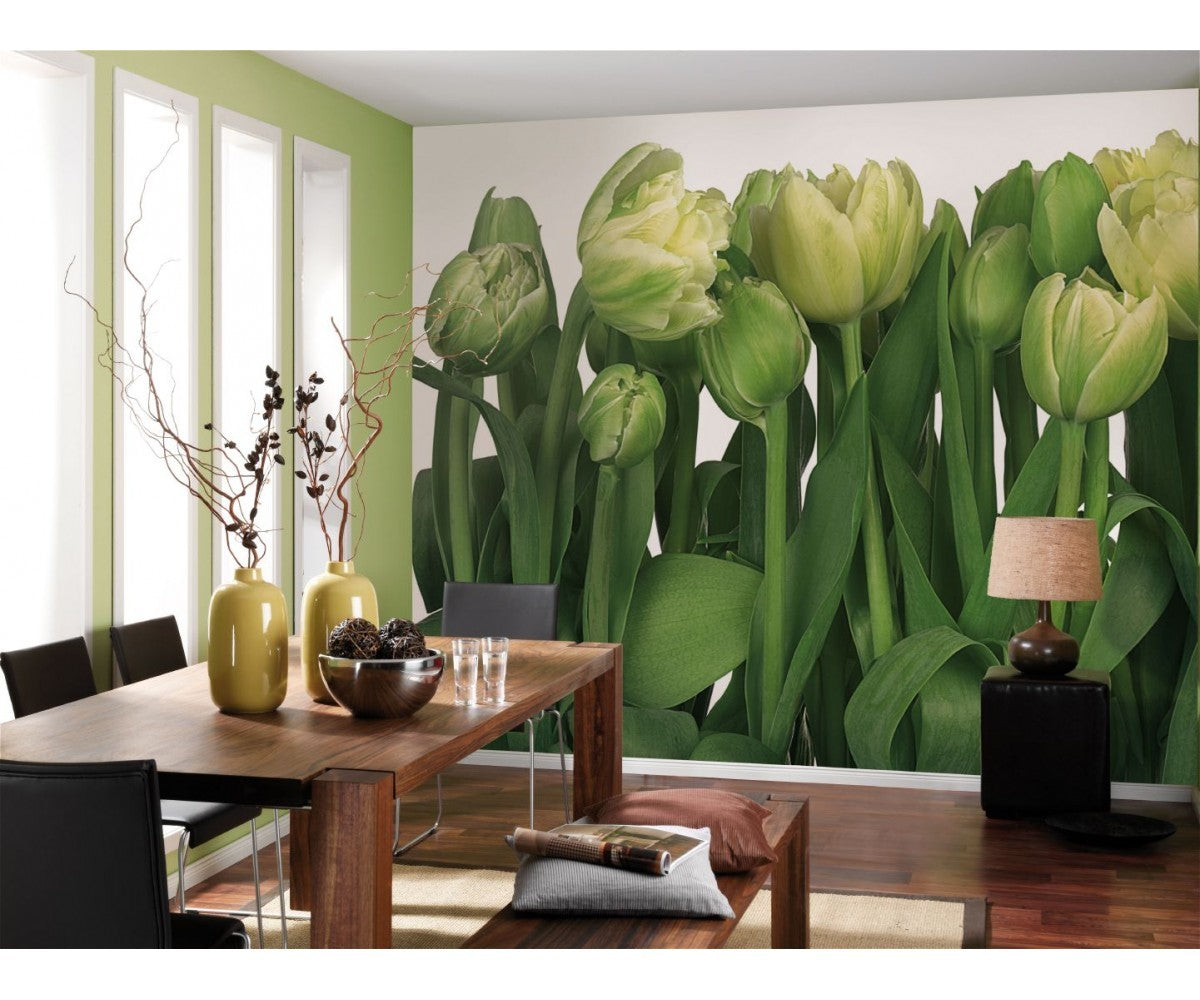 Tulips 8-900 Wall Mural