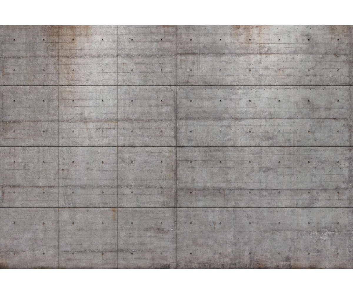 Concrete Blocks 8-938 Wall Mural