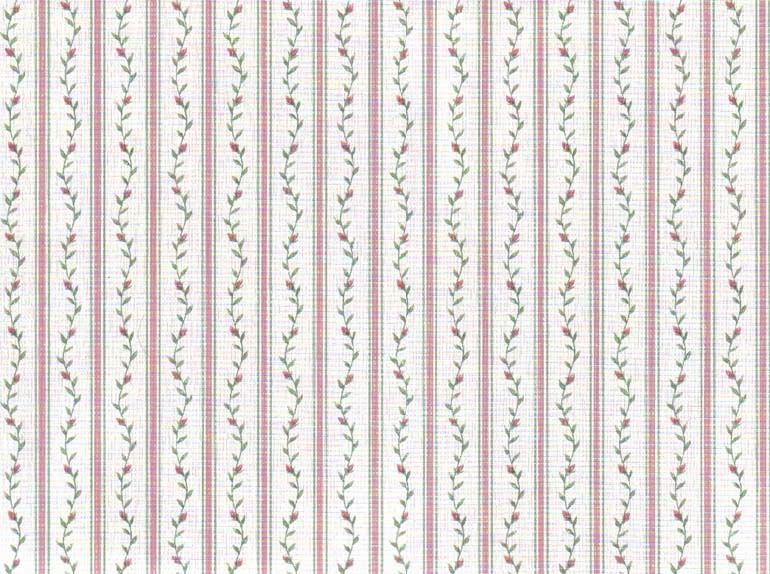 Roses 80033 Wallpaper