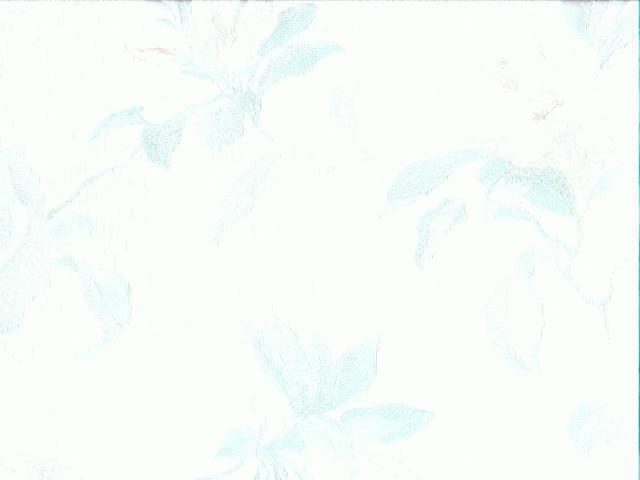 Silk Vinyl 880078 Wallpaper