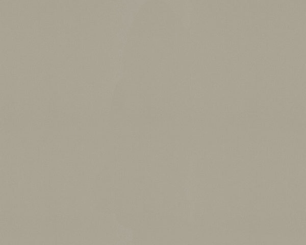 Beige AP 1000 886224 Wallpaper - GiftedParrot.com - Gifted Parrot