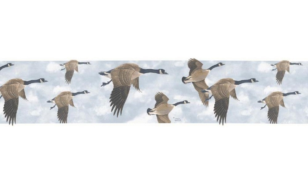 Birds B76374 Wallpaper Border