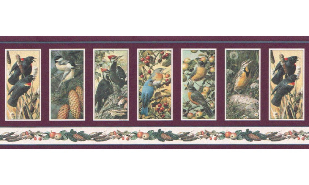 Birds B4333h Wallpaper Border
