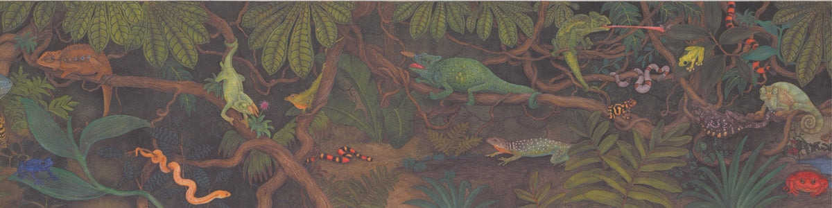 Lizards Snakes Chameleon in Jungle Kids Retro CA3060B Wallpaper Border