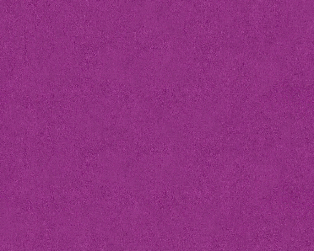 Purple Felicia 936977 Wallpaper