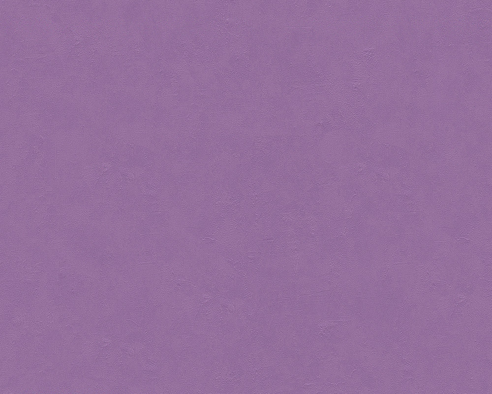 Purple Felicia 937021 Wallpaper
