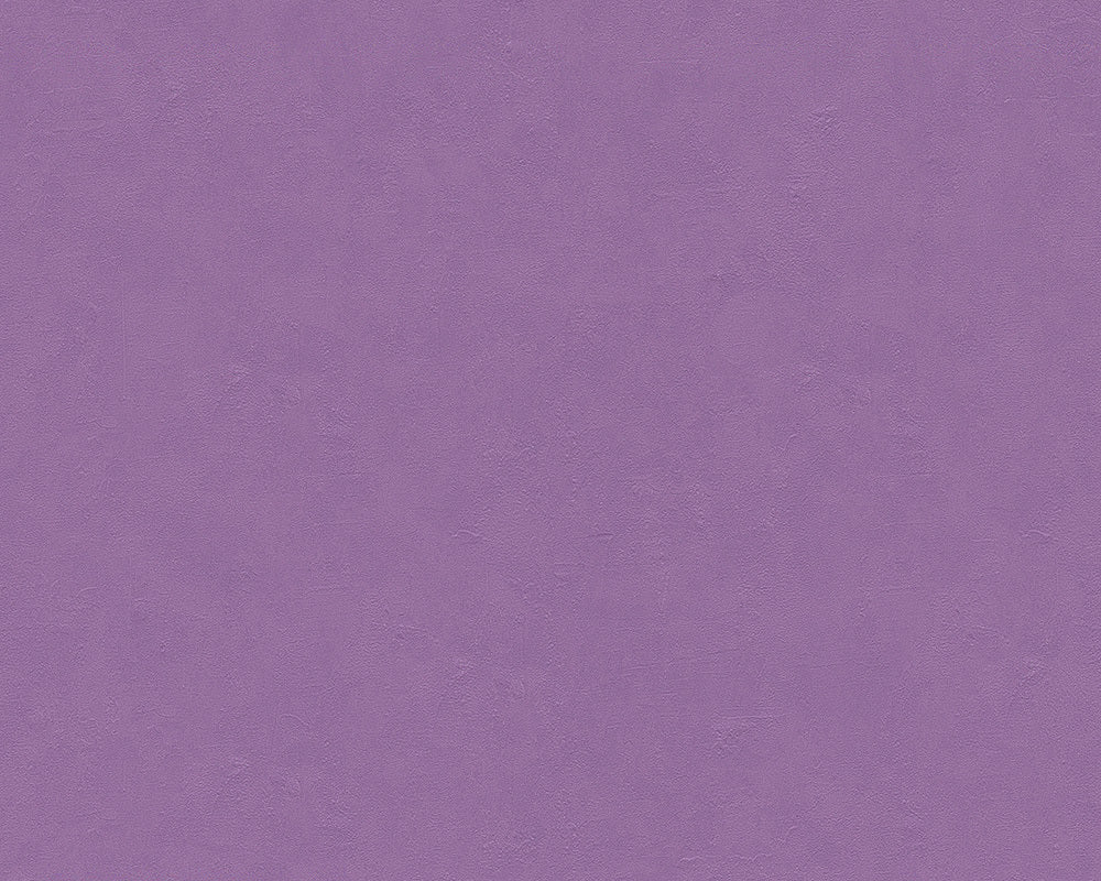 Purple Felicia 937021 Wallpaper