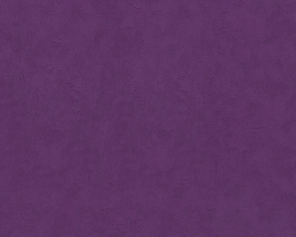 Purple Felicia 937022 Wallpaper