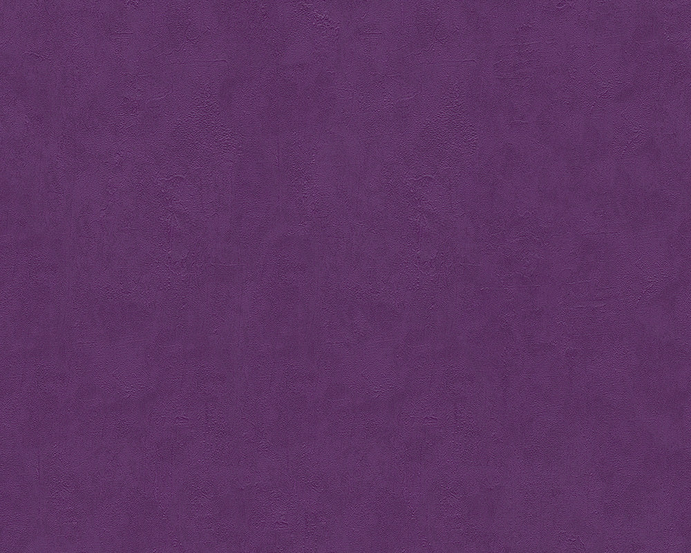 Purple Felicia 937022 Wallpaper