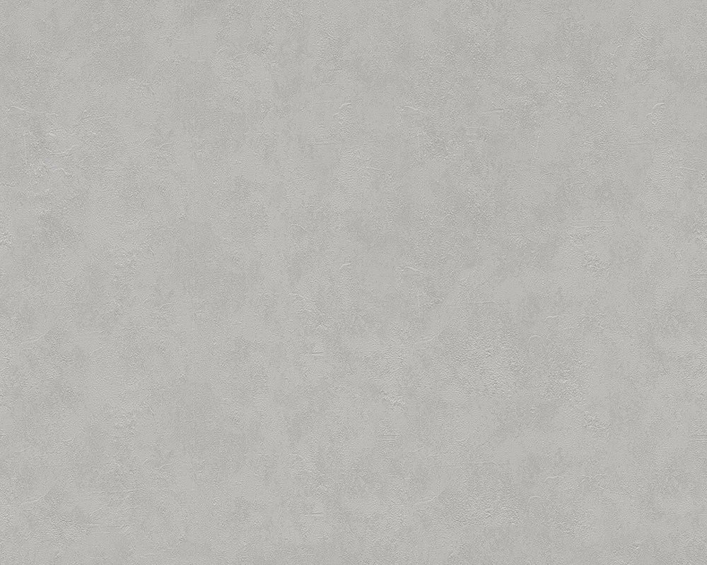Grey Felicia 937023 Wallpaper