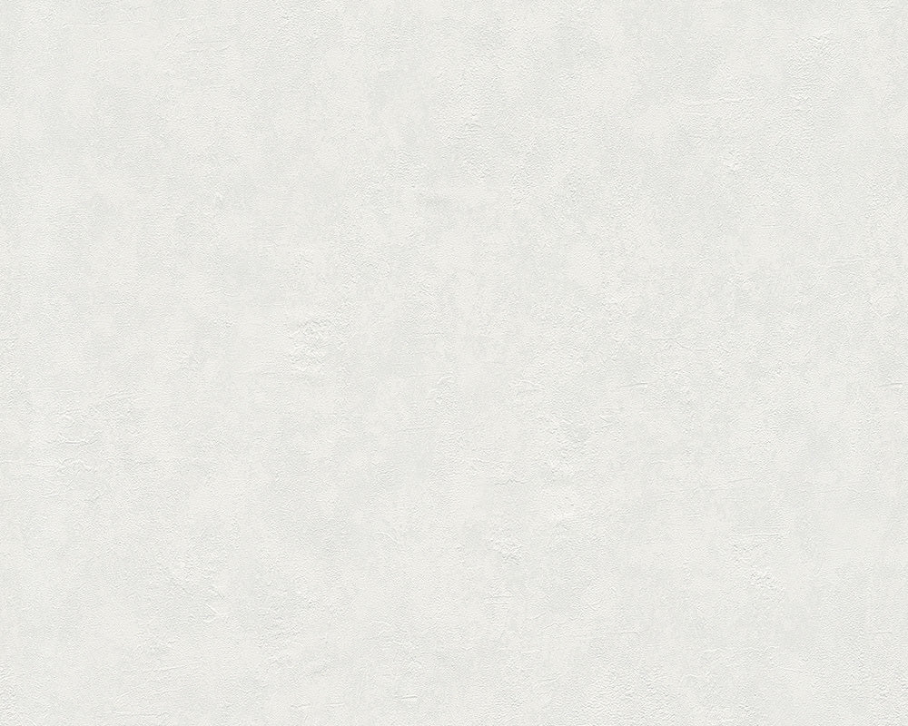 Grey Felicia 937024 Wallpaper
