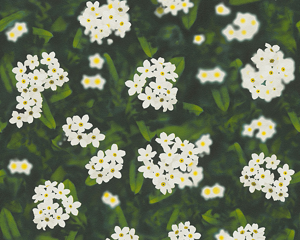 Green White Dekora Natur 6 959321 Wallpaper