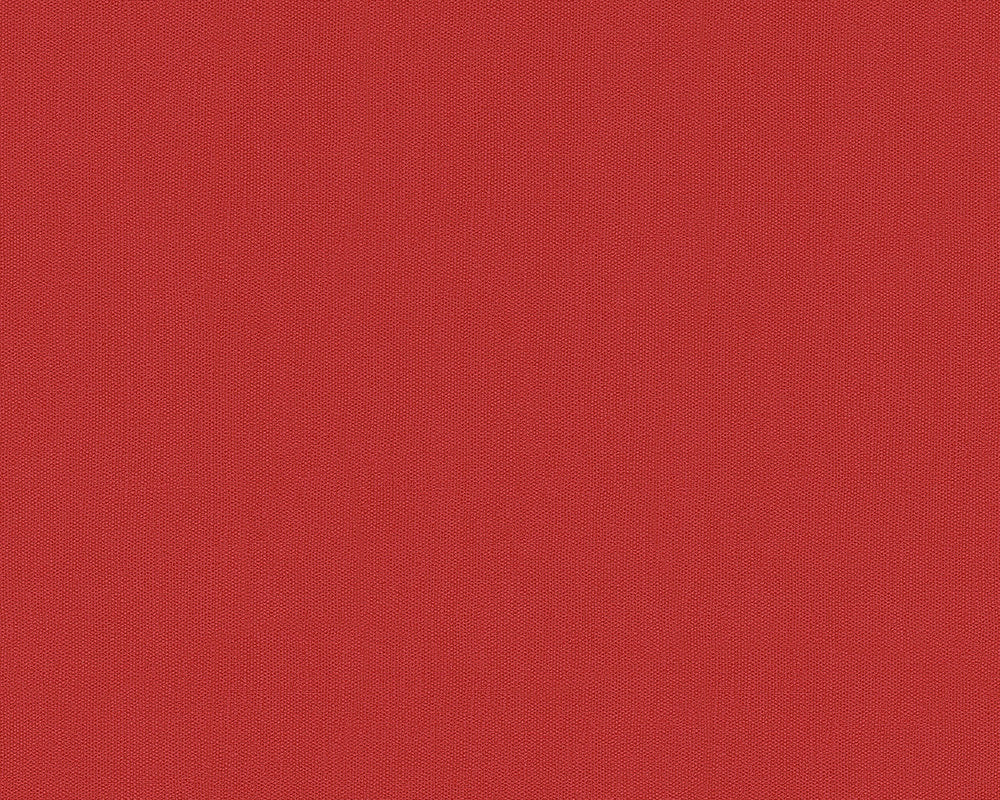 Red Felicia 966711 Wallpaper