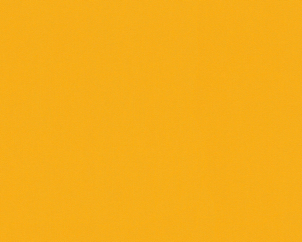 Orange Felicia 966773 Wallpaper