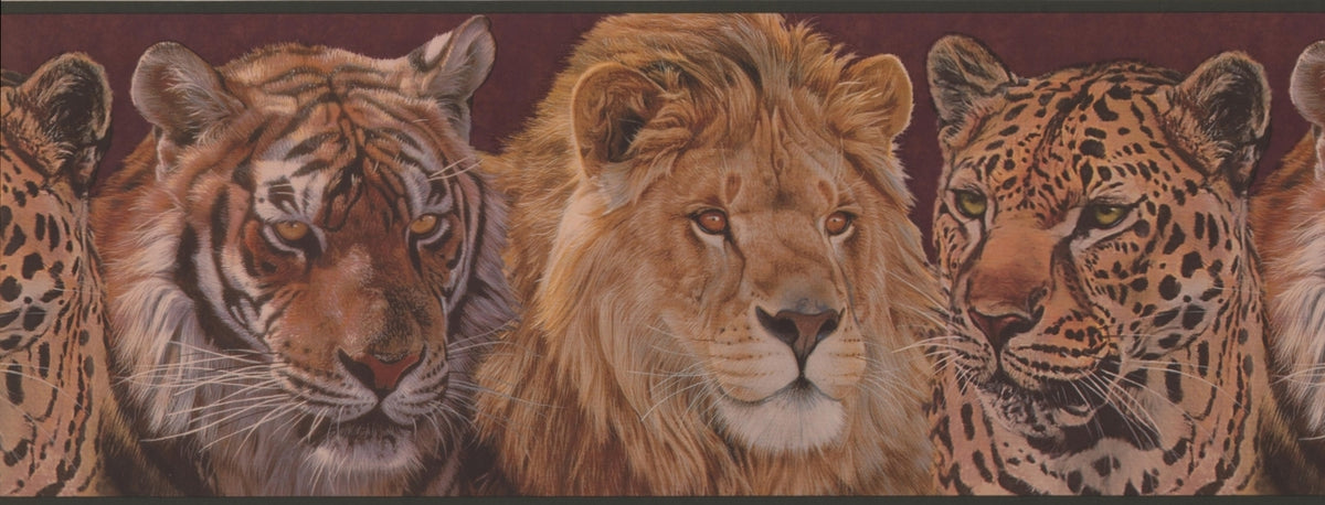 Adventures Tiger Lion ADV2043B Wallpaper Border