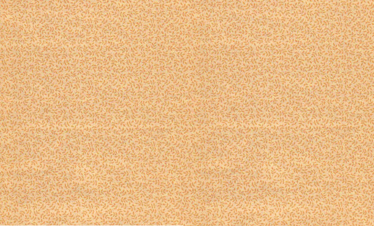 Traditional CJ60070 Wallpaper