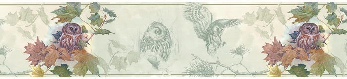 Owls  GL76353 Wallpaper Border