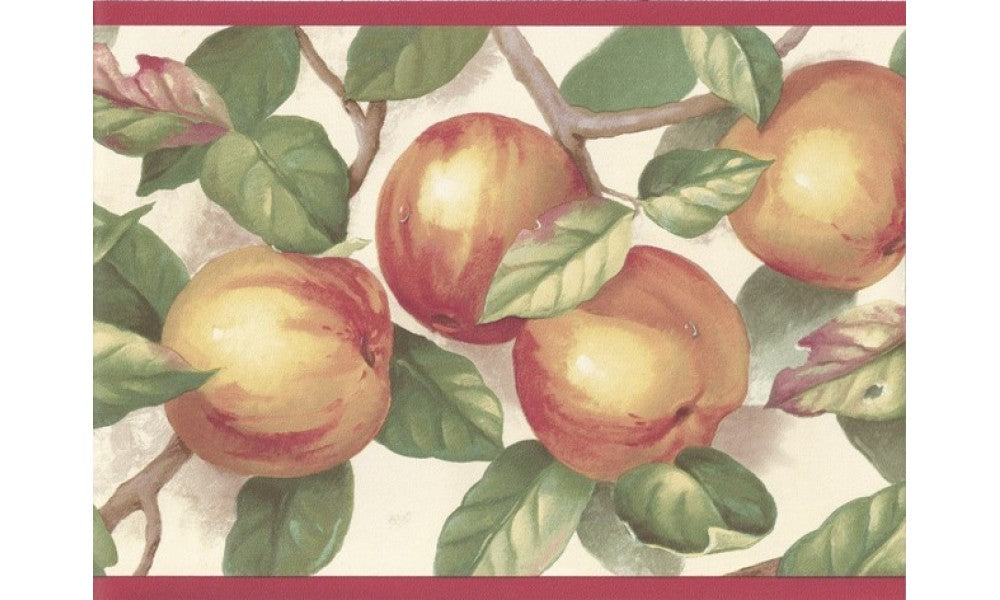 Red Cream Green Apple Branches MK77659 Wallpaper Border
