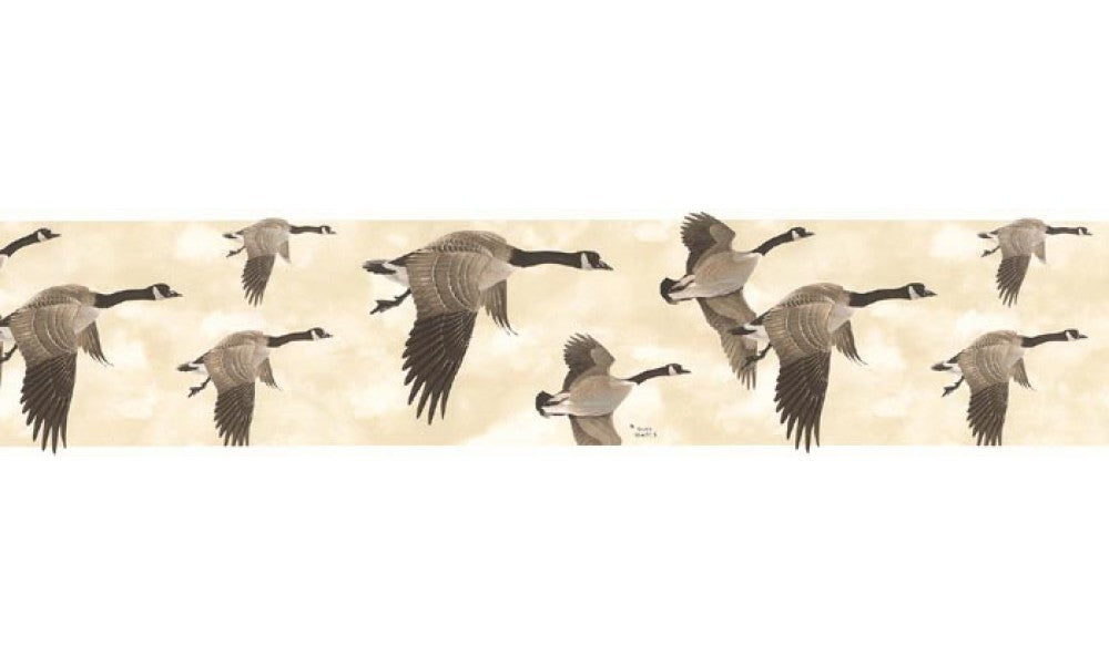 Birds B76373 Wallpaper Border