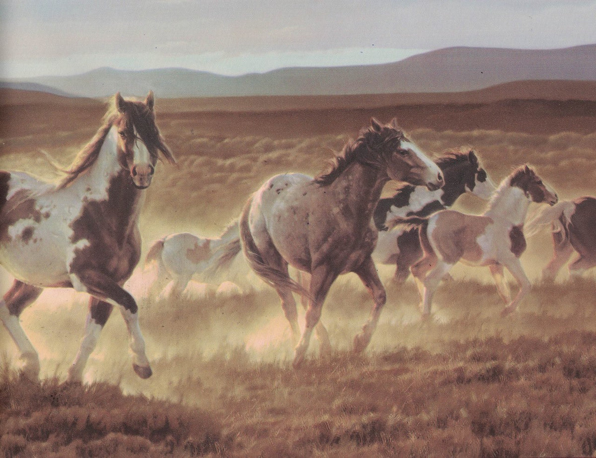 Horses B96510 Wallpaper Border