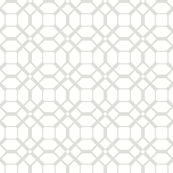Light Gray Modern Honeycomb BW28723 Wallpaper