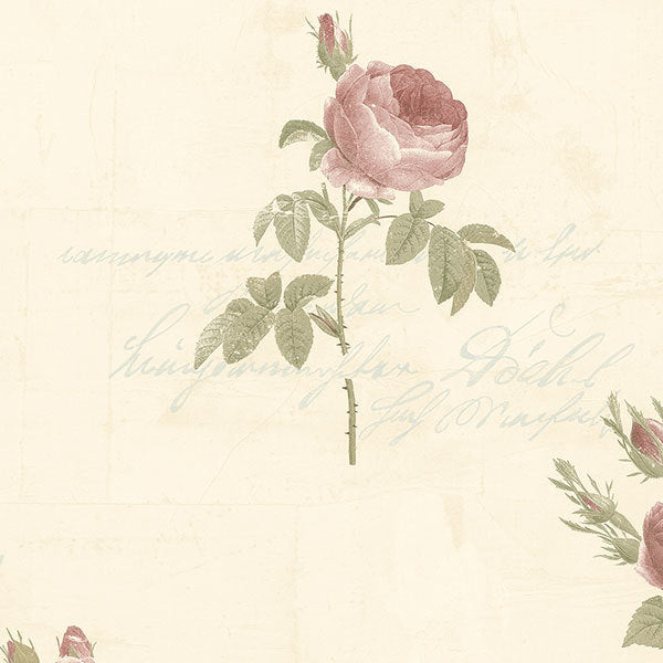 Pink Blue Rose Toile CG28861 Wallpaper