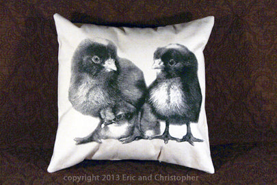 Chicks Decorative Pillow Medium
